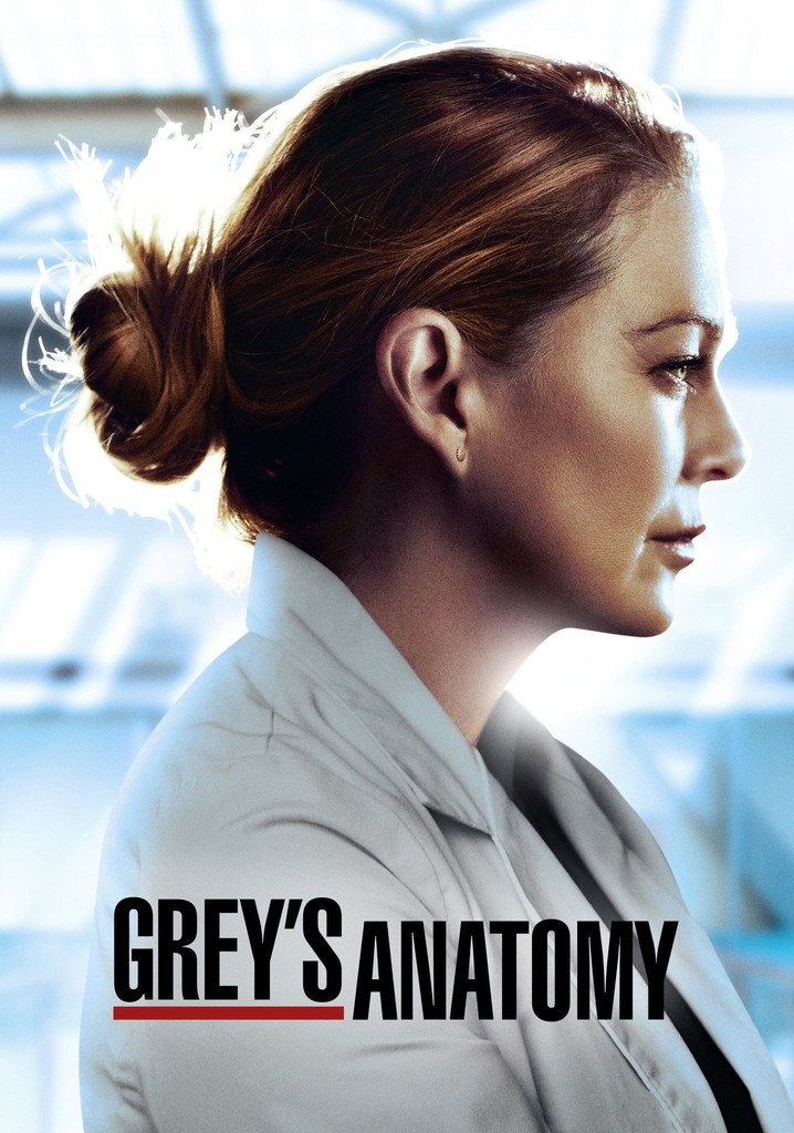 Grey's Anatomy streaming tv show online
